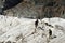 Mountaineers on Gorner-Glacier