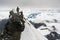 Mountaineers roped up on the glacier