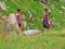 Mountaineers on the slopes of the Swiss mountains and in the Uri Alps massif, Innertkirchen - Canton of Bern, Switzerland