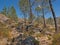 Mountainhiking trail in the Portuguese countryside