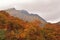 Mountainous Autumn Landscape in Japan
