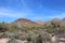 A mountainous desert landscape filled with Cholla, Prickly Pear and Saguaro Cacti, Palo Verde bushes and scrub brush in Arizona