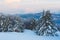 Mountainous forest in winter