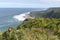 Mountainous Landscape with the beautiful beach and pink King Proteas in front at Tsitsikamma National Park in South Africa