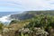 Mountainous Landscape with the beautiful beach and pink King Proteas in front at Tsitsikamma National Park in South Africa