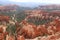 Mountainous Reddish fairy chimneys Bryce Canyon