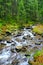 Mountainous river in the forest