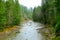 Mountainous river in the forest of Carpathian mountains