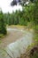 Mountainous river in forest of Carpathian mountains