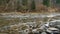 Mountainous river Prut in the forest of Carpathian mountains