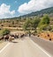 Mountains of Albarracin