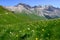 Mountains and alpine meadows views near Col du Lautaret, Massif des Ecrins, Hautes Alpes, France in summer