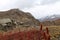 Mountains in autumn with brown and reddish grass under cloudy sky