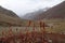 Mountains in autumn with brown and reddish grass under cloudy sky