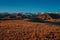 Mountains autumn Kyrgyzstan landscape