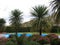 Mountains Bolivia greenery nature beauty swimming pool