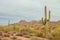 Mountains, Cactus and Desert in Arizona