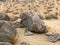 In the mountains of California in the summer. Stones, sand, sun