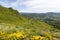 The mountains of Cantal - Auvergne-RhÃ´ne-Alpes - France