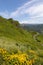 The mountains of Cantal - Auvergne-RhÃ´ne-Alpes - France