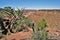 Mountains of Capitol Reef National Park