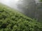 Mountains of the Carpathians.fog. hike