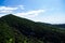 Mountains with Christmas trees against the blue sky with clouds. Beautiful panoramic view of firs and larches coniferous forest