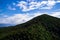 Mountains with Christmas trees against the blue sky with clouds. Beautiful panoramic view of firs and larches coniferous forest