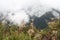 Mountains in clouds, Death road, Yungas, Bolivia