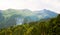 Mountains covered with firs and trees