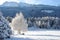 Mountains covered with snow