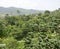 Mountains in the Dominican Republic