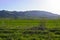 Mountains and even green field. Mountains of Kazakhstan.