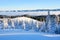 Mountains in a foggy morning and snow covered green Christmas trees. Marvelous winter background. Beautiful Christmas holliday.