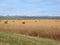 Mountains, Foothills, and Bales