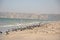 Mountains formation Beach with seagull birds, Oman