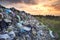 Mountains of garbage on the landfill