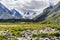 Mountains glacier flowers stones summer