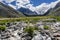 Mountains glacier flowers stones summer