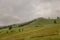 Mountains. Green field with tints of yellow with haystacks and trees far away. Summer, august