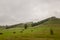 Mountains. Green field with tints of yellow with haystacks and trees far away. Summer, august