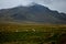 Mountains and guanacos