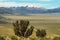 Mountains and high plateau plains near volcano isluga