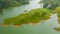 Mountains, lake and tea estate. Maskeliya, Sri Lanka.