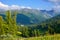 Mountains landscape with cedar forest