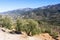 Mountains landscape with olives plants