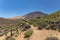 Mountains landscape of Park Teide at summer time. Walking trails along the hillsides with endemic vegetation, Volcano Teide at