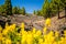 Mountains landscape, volcanic island La Palma