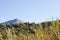 Mountains and landscapes of the Pyrenees of Huesca, Aragon, Spain