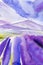 Mountains Lavender field. Summer watercolor illustration. Wallpaper pictures. Provence France.